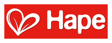 Logo Hape Toys